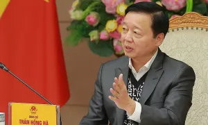 'Không để chảy máu chất xám khi sắp xếp bộ máy' 'Không để chảy máu chất xám khi sắp xếp bộ máy'