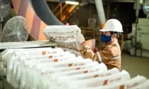Xi măng Hà Tiên lãi cao nhất 3 năm Xi măng Hà Tiên lãi cao nhất 3 năm